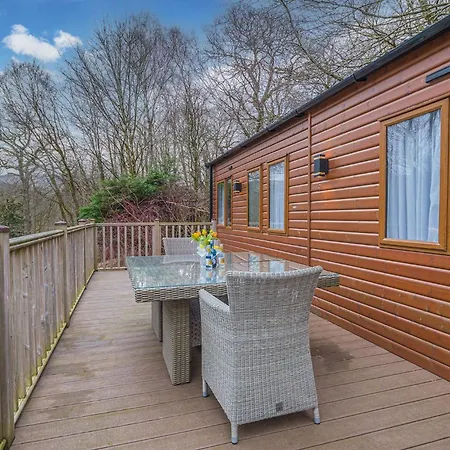 Dizzy Ducks Windermere