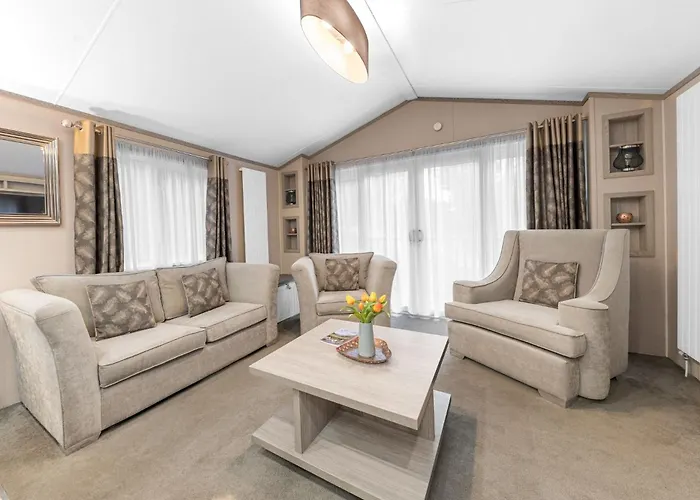 Dizzy Ducks 温德米尔