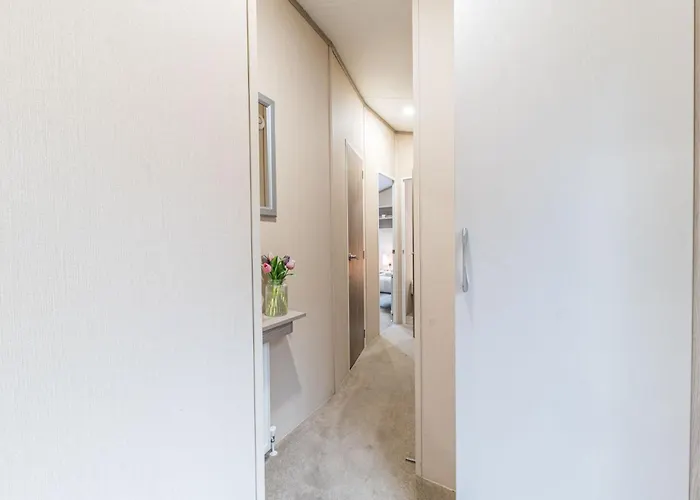 Dizzy Ducks * Windermere