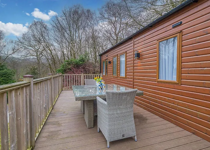 Dizzy Ducks 温德米尔