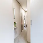 Dizzy Ducks * Уиндермир